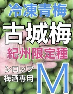 2714❄️冷凍クール便　青梅「冷凍古城梅」Mサイズ3kg 梅酒 シロップのサムネイル