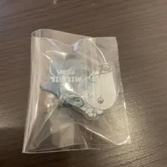 しずくちゃん みるみるちゃん アクリル めじるしチャーム めじるしアクセサリー