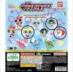 パワパフめじるし