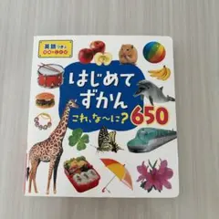 はじめてずかん これ、な～に？650