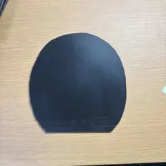 ディグニクス05