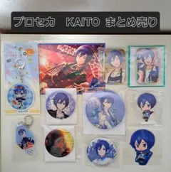 KAITO 楽天コレクション 楽コレ セット売り 初音ミク ピアプロ - メルカリ