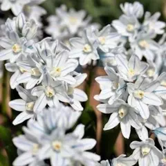 bananan様 リクエスト 2点 まとめ商品