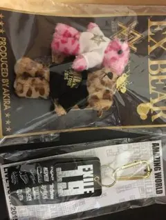 EXILE AMAZING WORLD TOUR グッズ