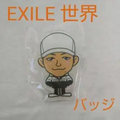レア EXILE 世界 アクリルバッジ グッズ