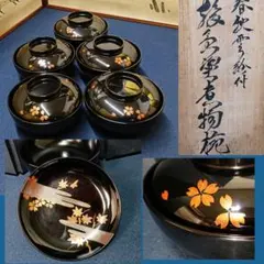 Item thumbnail for item 485c9480-9884-4a40-a486-ca24c662b8aa