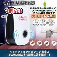 Item thumbnail for item 028cda09-9b60-4560-b326-0cfe6d25c71a