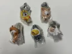 StrayKids SKZOO つまんでつなげてますこっと　vol.2⭐︎5個