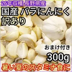 26年産 バラにんにく 長野県産 訳あり 大蒜 粒ニンニク 送料無料 300gのサムネイル