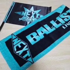 【BALLISTIK BOYZ】NEXT フラッグ タオル