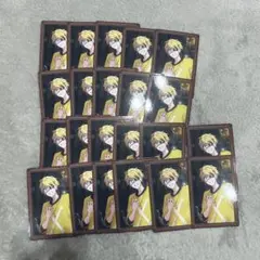 からぴち たっつんさん 人形屋敷 トレカ22枚 まとめ売り