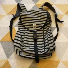 チャムス バックパック ボーダー柄