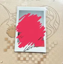 XLOV IGOD ウムティ 直筆サインポラロイド 落書き有