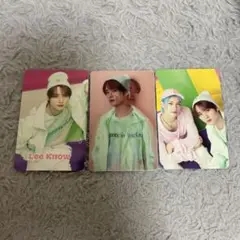 straykids リノ フィリックス シーグリ 2024