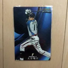 2014年　大谷翔平　サイン入りカード ミントモール / MINT VAULT店 (MSV委託品通販) / 2014 BBM 北海道日本