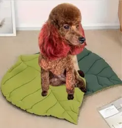 Item thumbnail for item c63cb6c5-71f2-4b1f-8ae6-0d4d6f4149b0