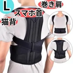 Item thumbnail for item 9abe2965-5f22-461d-99ad-a67c5d2d2e5c