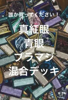遊戯王OCG デュエルモンスターズカードセット 真紅眼 青眼 混合デッキ 引退品