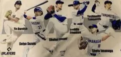 メジャーリーグ レア 特大ポスター MLB 2000年 全球団 キャップ