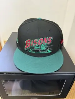 Item thumbnail for item 3d60a85c-1657-4e11-89fd-9758eec1fe2d