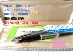 2026年最新】pilot スターリングシルバーの人気アイテム - メルカリ