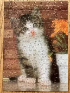 ちいちゃん様専用　ジグソーパズル