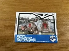 2026年最新】ご当地フォルムカードの人気アイテム - メルカリ