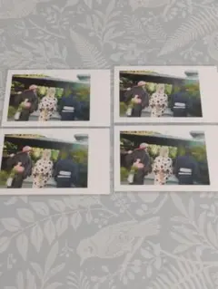 いれいす チェキ