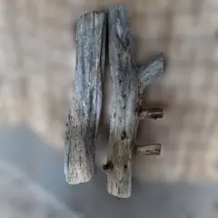 Item thumbnail for item a54c95b7-aa1b-48bf-8c1a-07feee702bd7