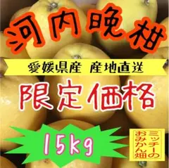 愛媛県産 木なり完熟 河内晩柑 8キロ 訳あり品×2箱 - メルカリ