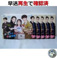 オー！マイ・ボス！恋は別冊で　全巻／全5巻　DVDレンタルUP