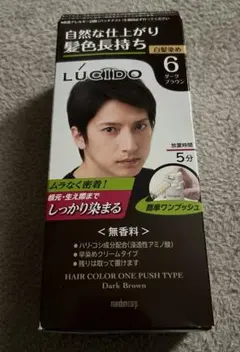 ルシード ワンプッシュケアカラー ダークブラウン (医薬部外品)のサムネイル