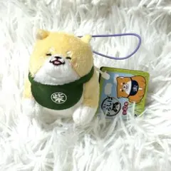 忠犬もちしば　きなこ　マスコット　ぬいぐるみボールチェーン