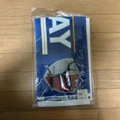ブライトン　ジャパンツアー　マッチデーフェイスタオル　鹿島アントラーズ　おまけ
