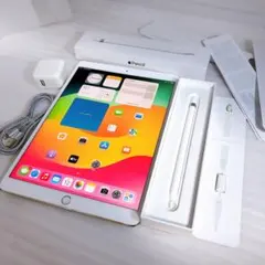 即日発送！iPadPro2【256GB】SIMフリーとアップルペンシルのセット