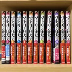 ポーカー本 8冊セット GTO ゲーム理論 メンタルゲーム エドミラー