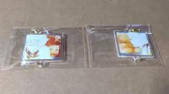 我妻善逸　絆アクリルチャームセット