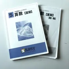 2026年最新】馬渕教室 小5の人気アイテム - メルカリ