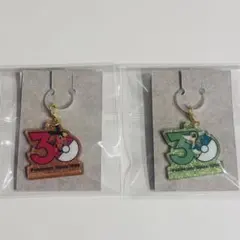 ⭐️即日発送⭐️ ポケモン 30周年ロゴマスコット2 ポカブ　ツタージャ