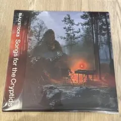 2026年最新】bialystocks レコードの人気アイテム - メルカリ