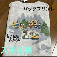 入手困難　メンズ　Ｌサイズ　ピーターパン　Ｔシャツ　タグ付き