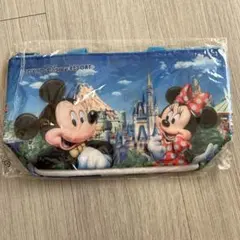 東京ディズニーリゾート　スーベニアランチバッグ