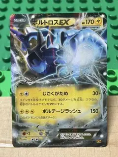 ボルトロスEXBWXY厳選コレクションのサムネイル