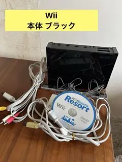 Wii 本体 ブラック　電源入り確認済み　ジャンク品