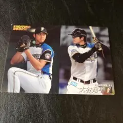 大谷翔平 スポーツ選手