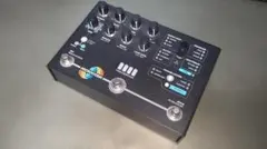 新品 限定品 Hologram Electronics Microcosm