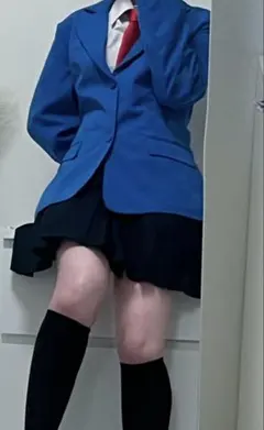 コスプレ衣装 樋口楓 通常衣装 にじさんじ - メルカリ