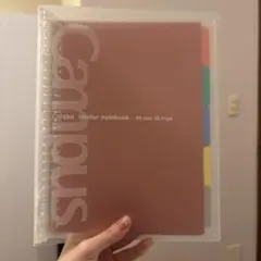 Item thumbnail for item 80f9408a-341f-4e35-bd73-8cf63624c016