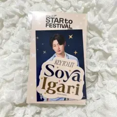 ジュニア STAR to FESTIVAL スタフェス 猪狩蒼弥 ステッカー