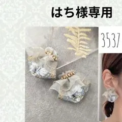はち様専用 クリップイヤリング